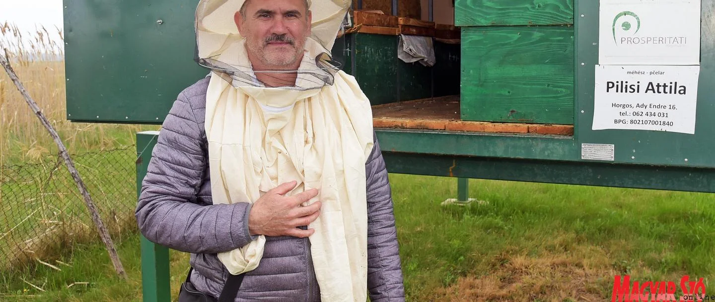 A horgosi Pilisi Attila méhész százhúsz méhcsaládot lát el