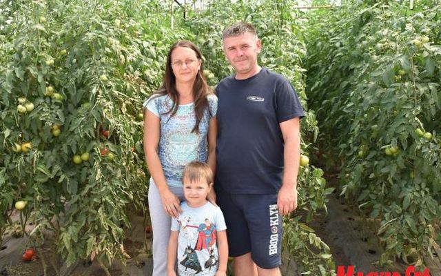 Ma már családi vállalkozásként funkcionál a tíz éve kezdett konyhakerti növénytermesztés