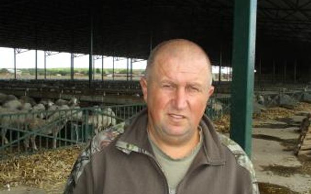 Mely piacokra kerülnek a vajdasági bárányok? 