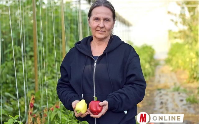 Fóliák alatt terem a minőség 
