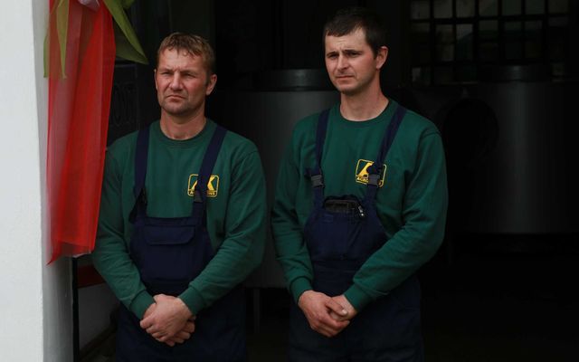 Agrokons Kft., Kishegyes –  nagy léptékű mezőgazdasági fejlesztés (képek)