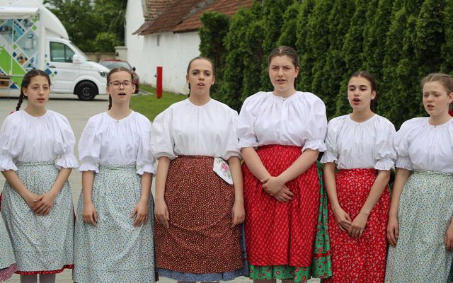 Elmed Kft., Temerin – közepes léptékű gazdasági fejlesztés (képek)