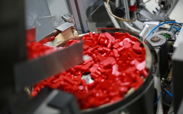 Skala Garden Kft., Szabadka – nagyléptékű gazdasági fejlesztés (képek)
