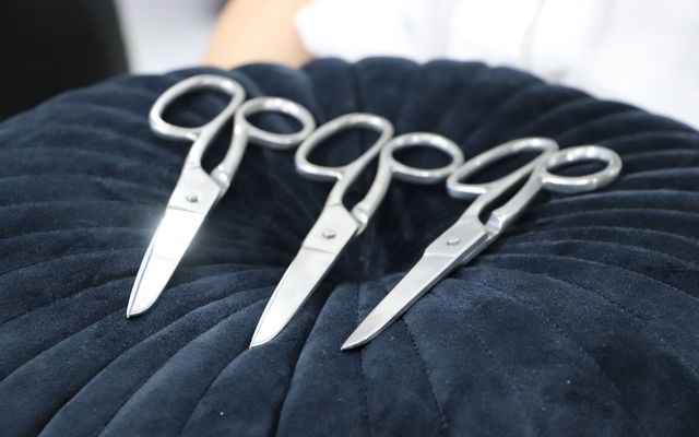 Goodwill Kft nagyléptékű gazdasági fejlesztés ünnepélyes átadása (képek)