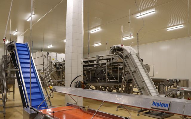 Andex Kft nagyléptékű gazdasági fejlesztés ünnepélyes átadása (képek)