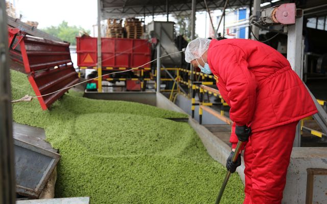 Aretol Kft. nagyléptékű mezőgazdasági fejlesztés ünnepélyes átadása 