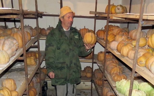 A lukácsfalvi Balanyiék egy évtizede vegyszermentesen termelnek