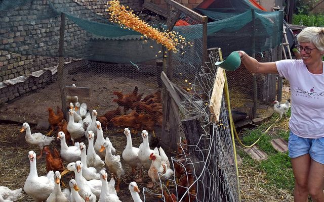 A tóthfalui Boldog Birtok nyitva áll a látogatók előtt