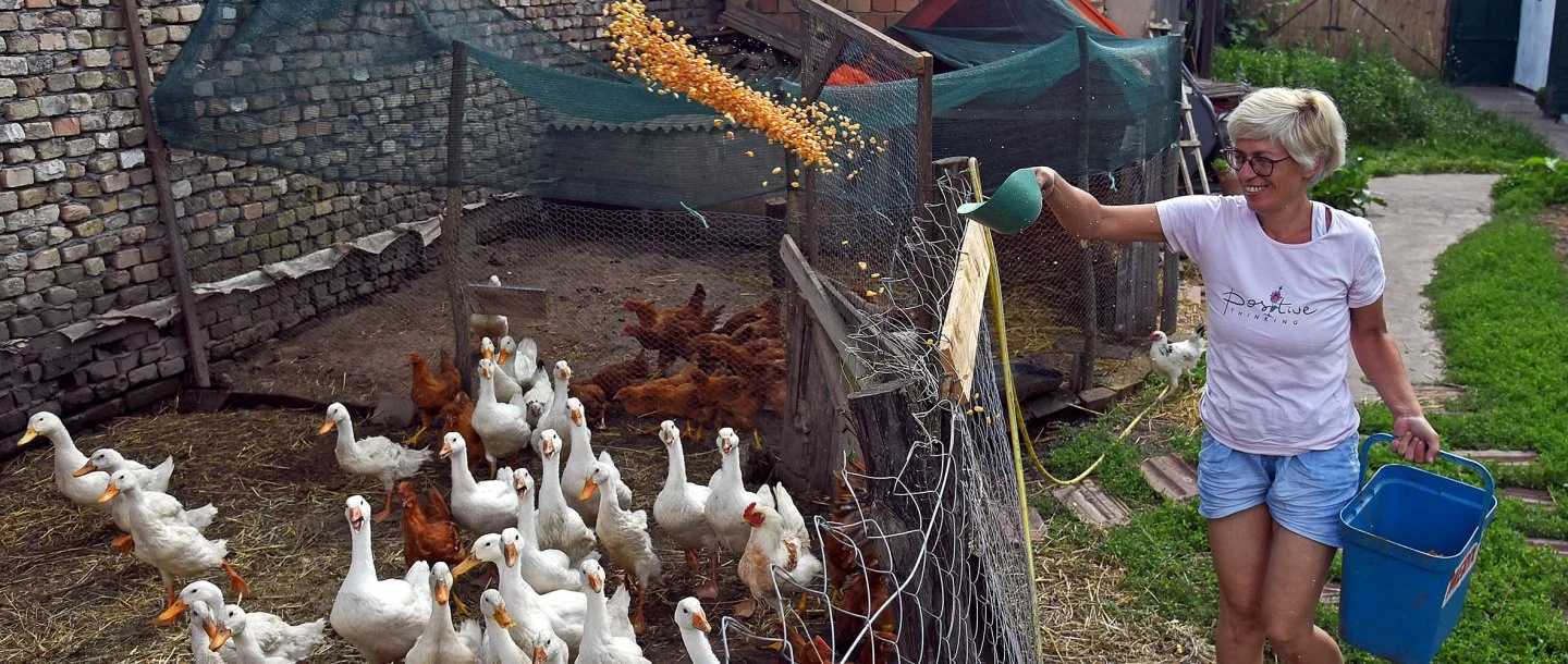 A tóthfalui Boldog Birtok nyitva áll a látogatók előtt