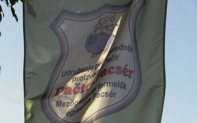 Sertéskiállítás és Prosperitati gépbemutató Pacséron (képek)