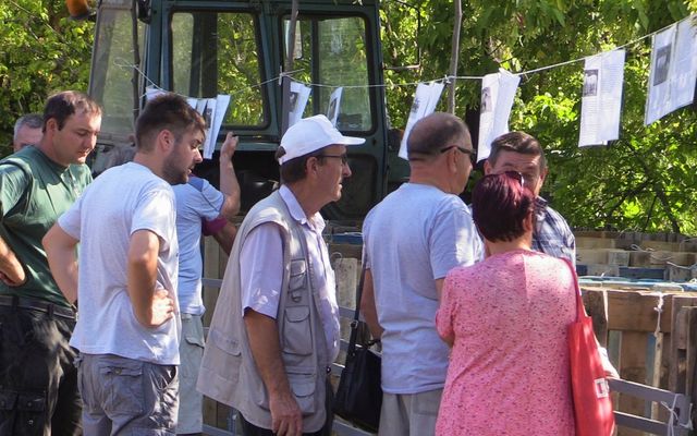 Sertéskiállítás és Prosperitati gépbemutató Pacséron (képek)