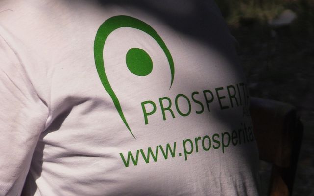 Sertéskiállítás és Prosperitati gépbemutató Pacséron (képek)
