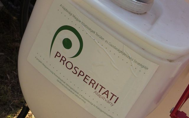 Sertéskiállítás és Prosperitati gépbemutató Pacséron (képek)