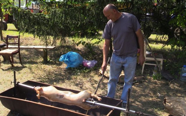 Sertéskiállítás és Prosperitati gépbemutató Pacséron (képek)