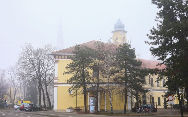 Mentorprogram, Ada