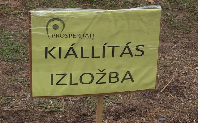 Szüreti napok és Prosperitati gépbemutató Hajdújáráson (képek)