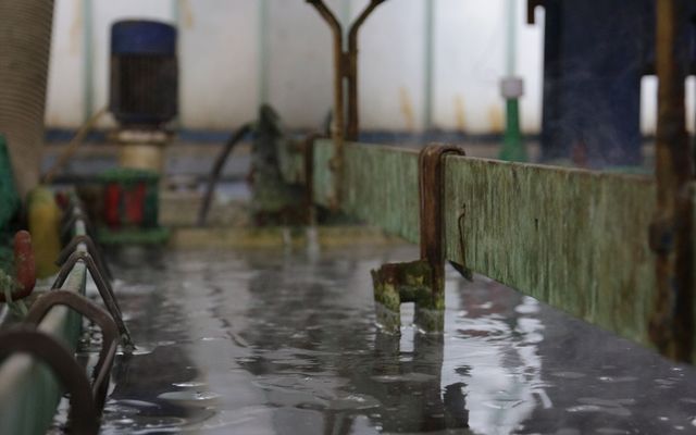 Nagyléptékű gazdasági fejlesztések – Sila kft. Bácskossuthfalva (képek)