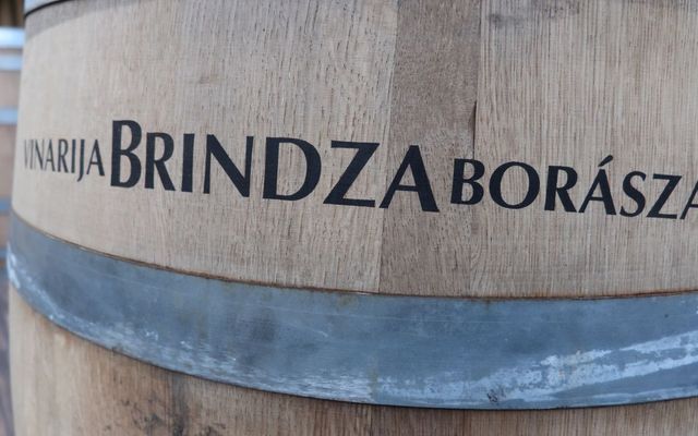 Látogatás a Brindza borászatban (képek)