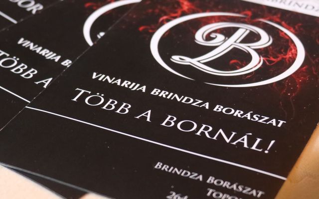 Látogatás a Brindza borászatban (képek)