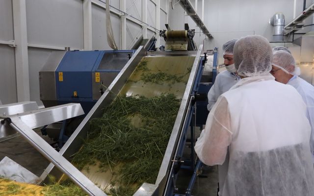 Kiemelt jelentőségű nagyléptékű mezőgazdasági fejlesztés – a Geneza Kft. második gyárüzemének hivatalos megnyitója (képek)