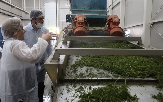 Kiemelt jelentőségű nagyléptékű mezőgazdasági fejlesztés – a Geneza Kft. második gyárüzemének hivatalos megnyitója (képek)
