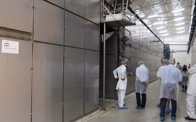 Kiemelt jelentőségű nagyléptékű mezőgazdasági fejlesztés – a Geneza Kft. második gyárüzemének hivatalos megnyitója (képek)