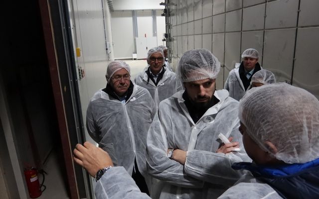 Nagyléptékű mezőgazdasági fejlesztések – Telek Paprika, Martonos (képek)