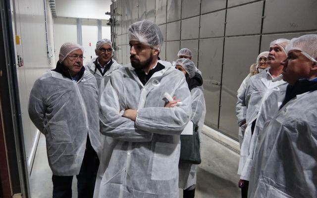 Nagyléptékű mezőgazdasági fejlesztések – Telek Paprika, Martonos (képek)