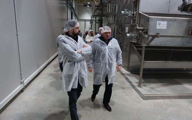 Nagyléptékű mezőgazdasági fejlesztések – Telek Paprika, Martonos (képek)