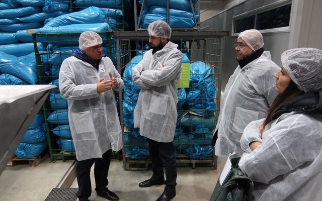 Nagyléptékű mezőgazdasági fejlesztések – Telek Paprika, Martonos (képek)