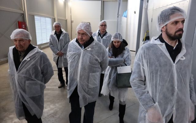 Nagyléptékű mezőgazdasági fejlesztések – Telek Paprika, Martonos (képek)