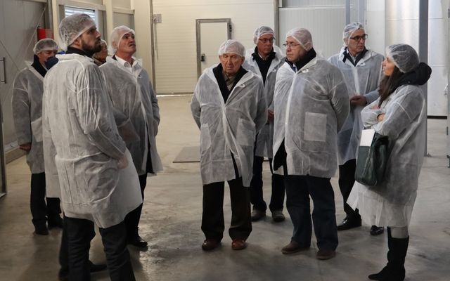 Nagyléptékű mezőgazdasági fejlesztések – Telek Paprika, Martonos (képek)