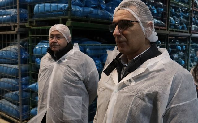 Nagyléptékű mezőgazdasági fejlesztések – Telek Paprika, Martonos (képek)