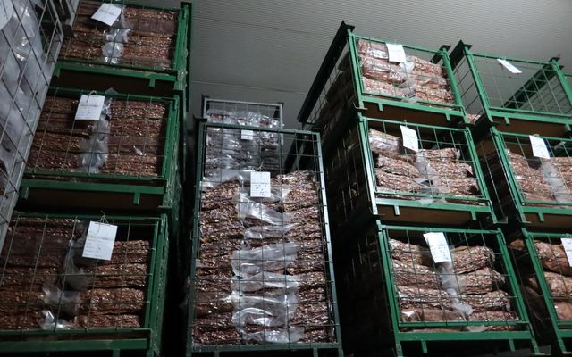 Nagyléptékű mezőgazdasági fejlesztések – Telek Paprika, Martonos (képek)