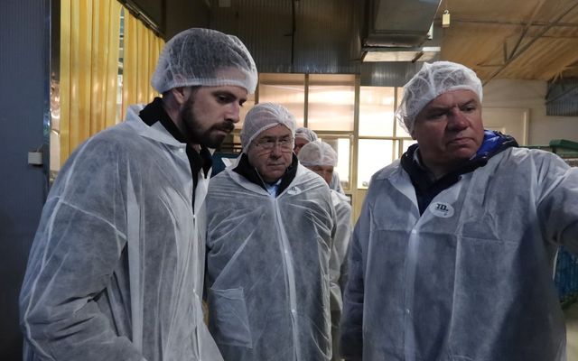 Nagyléptékű mezőgazdasági fejlesztések – Telek Paprika, Martonos (képek)