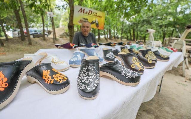 Alapítványunk pályázói a XIX. Vajdasági Szabadegyetemen