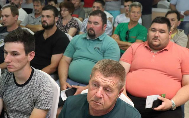 Fókuszban a vállalkozások és mezőgazdaság Adán (képek)