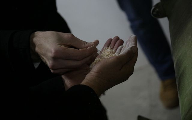 Nagyléptékű mezőgazdasági fejlesztések – Kontakt, Ada (képek)