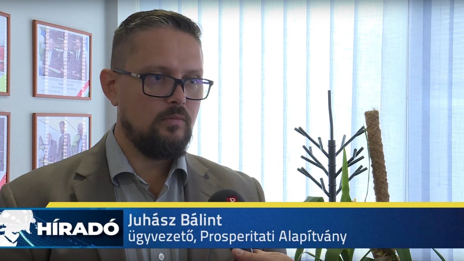 Földvásárlásra is lehet pályázni a Prosperitati Alapítványnál