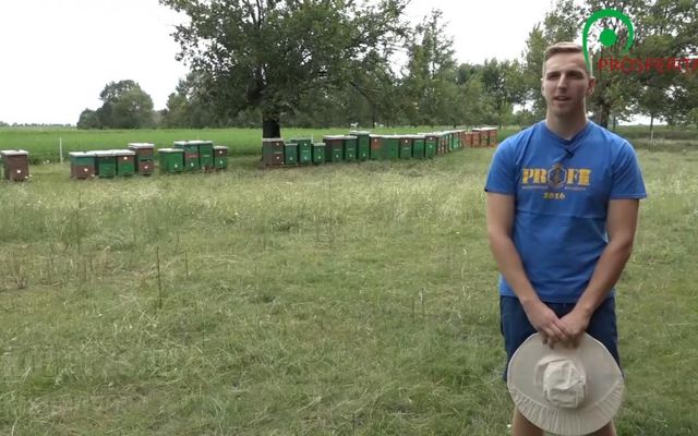 A méz él(tet)ő erejével