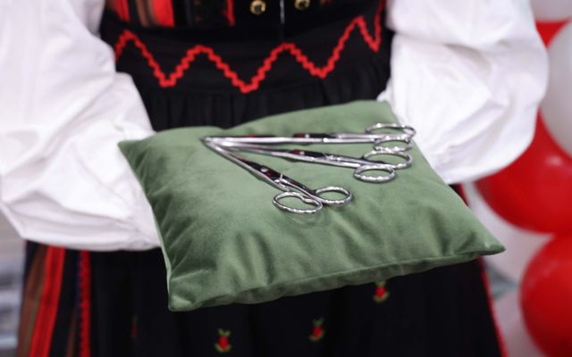 A MetalCorp kiemelt jelentőségű közepes és nagyléptékű gazdasági fejlesztés megtekintése