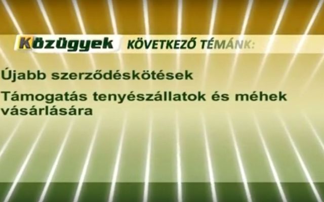 Támogatás tenyészállatok és méhek vásárlására (videó) 