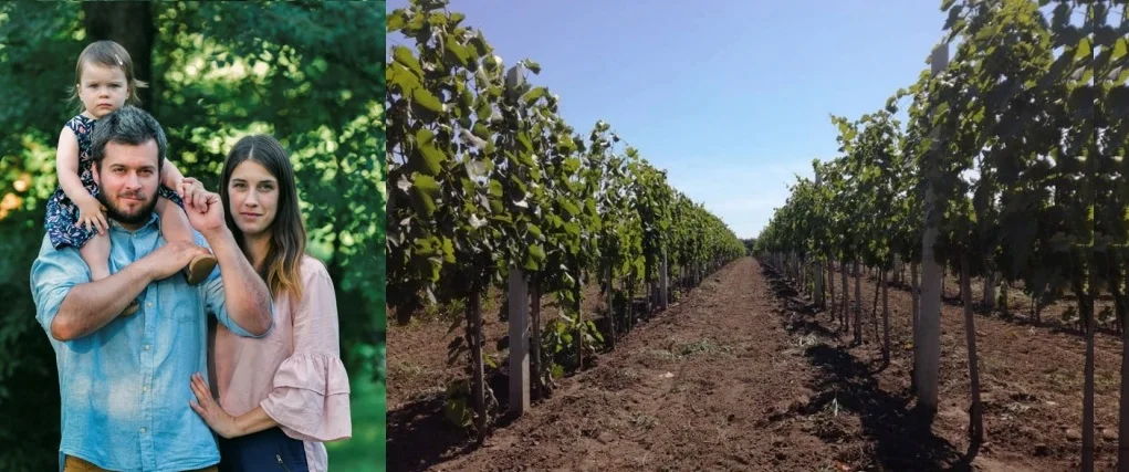 A szőlő megnyugtat, és türelemre tanít