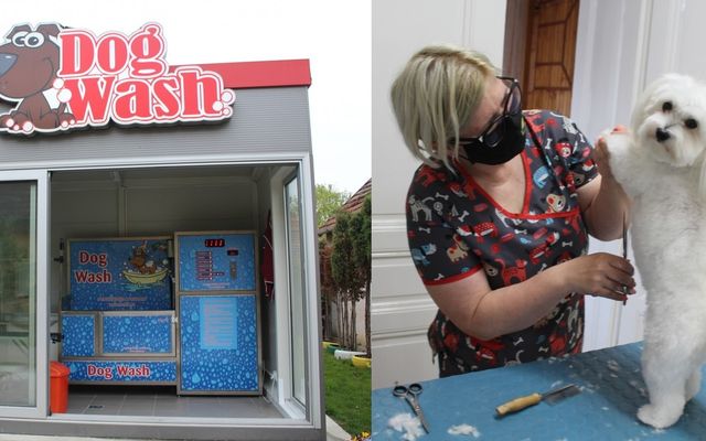 Fényes bundában boldog kutyaszív