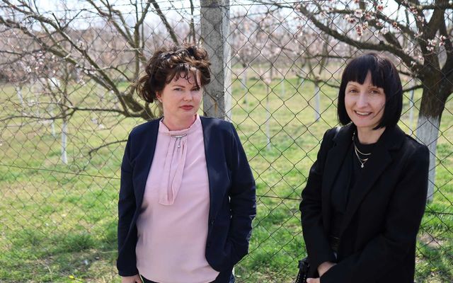 A Micro-pak Kft. kiemelt jelentőségű nagyléptékű gazdasági fejlesztés megtekintése