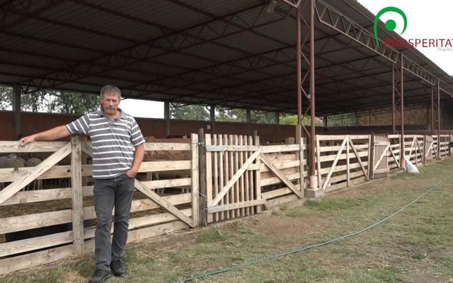 ,,Van jövője a juhtenyésztésnek”