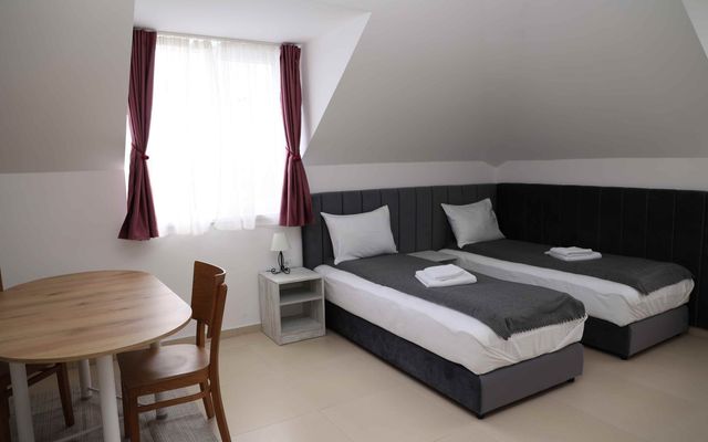 A palicsi Navigator apartmanház ünnepélyes átadása