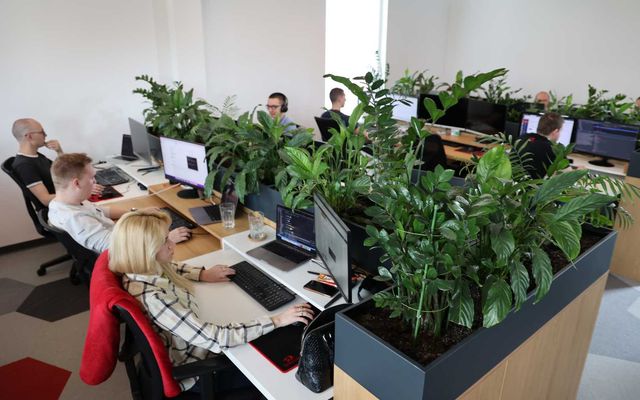 A Digital Hive Kft. kiemelt jelentőségű közepes és nagyléptékű gazdasági fejlesztés megtekintése