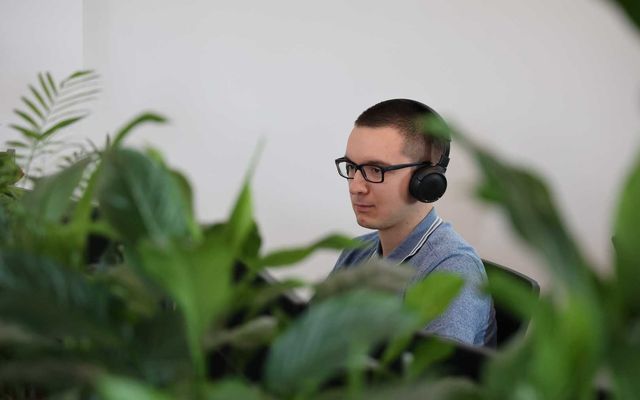A Digital Hive Kft. kiemelt jelentőségű közepes és nagyléptékű gazdasági fejlesztés megtekintése