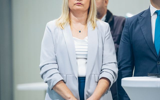 Az adai Antares Stolice Kft. kiemelt jelentőségű közepes és nagyléptékű gazdasági fejlesztés ünnepélyes átadása 